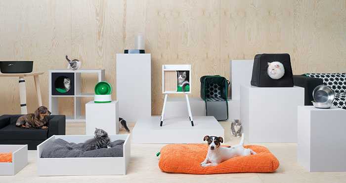 IKEA lansează o colecţie de mobilier pentru animalele de companie