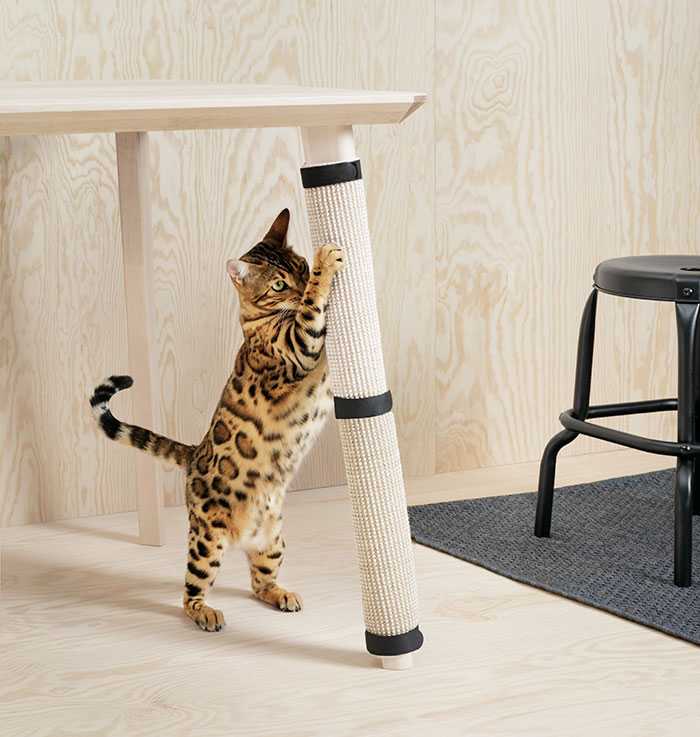 IKEA lansează o colecţie de mobilier pentru animalele de companie