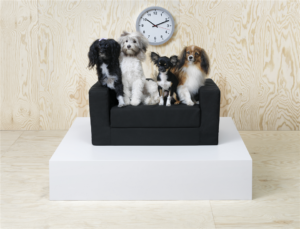 IKEA lansează colecţia LURVIG pentru cei care au animale de companie