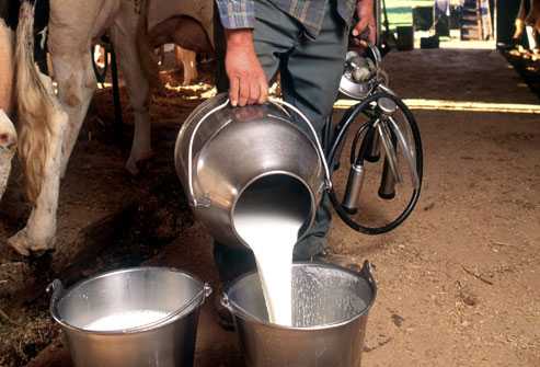 lapte-producatori-ue-cereri