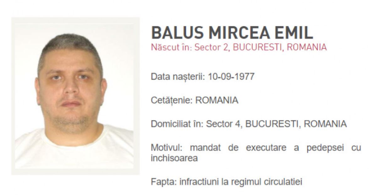 Mircea Emil Băluș, Mircea Nebunu, liderul Clanului Sportivilor