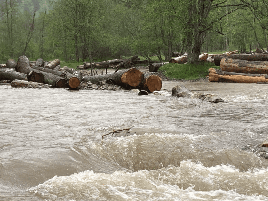 Buștenii de copaci surprinși de ploaia care a inundat Pârâul Doamnei în Ocolul Domnești, sudul Munților Făgaraș, România, miercuri, 17 mai 2023. Foto: Crina Boroș