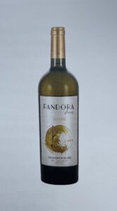 Sauvignon Blanc 2022, secVin participant la categoria vinuri albe a concursului “Povești cu vinuri românești”