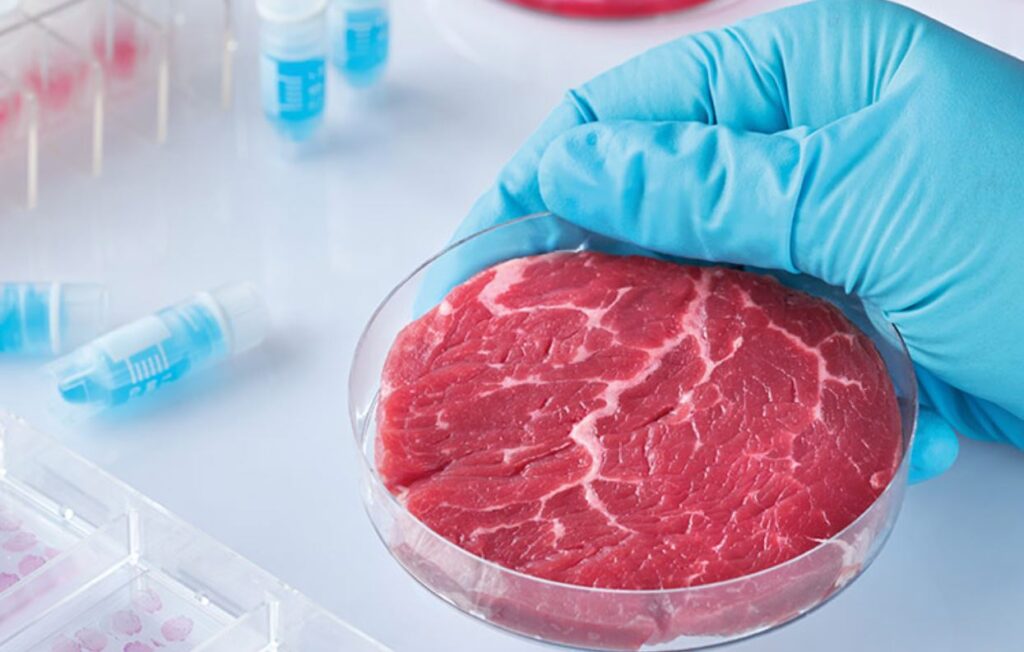 carne laborator