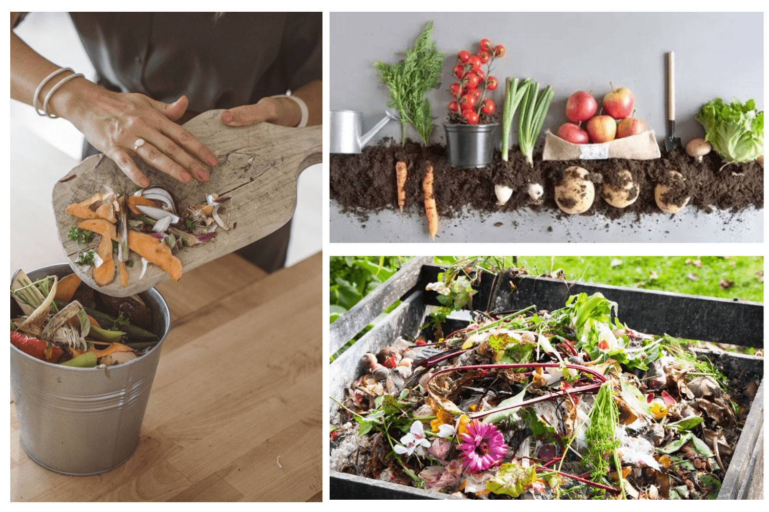 Cum să faci compost din resturi alimentare - Idei pentru Casa Ta