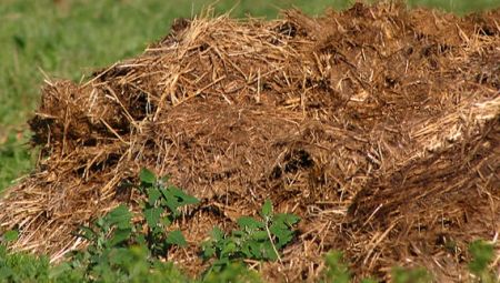 Cum preparam singuri mranita si compost