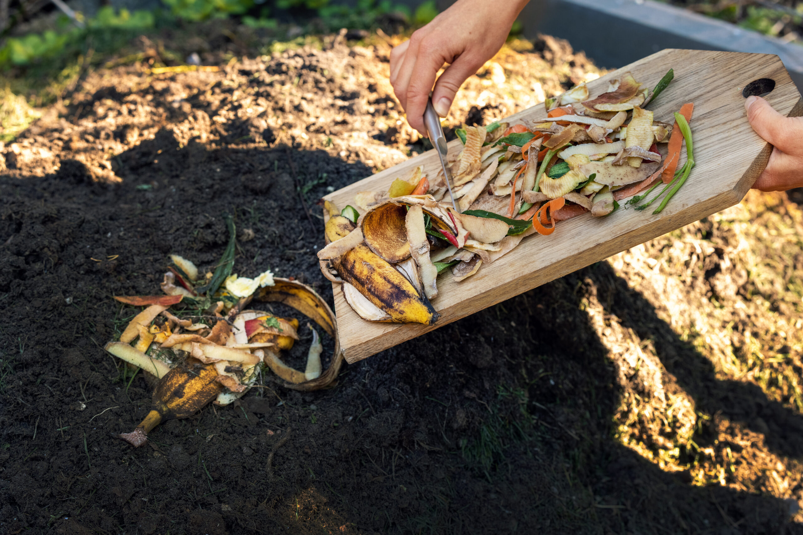 compost